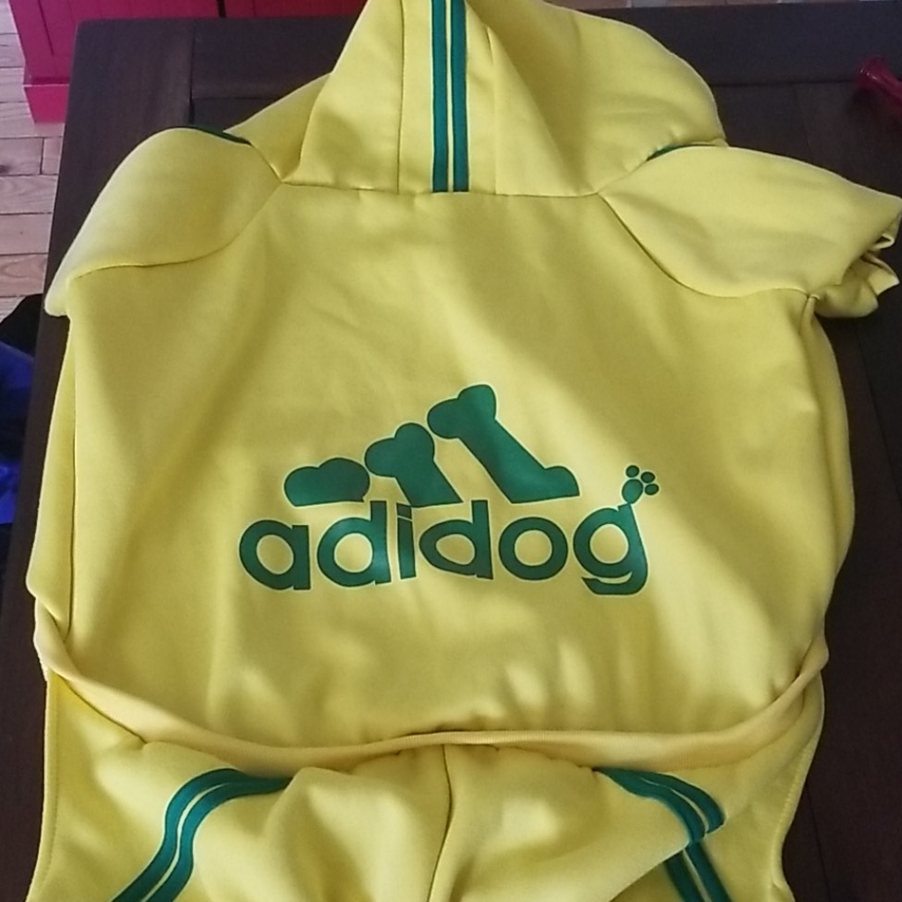 Dog hoodie